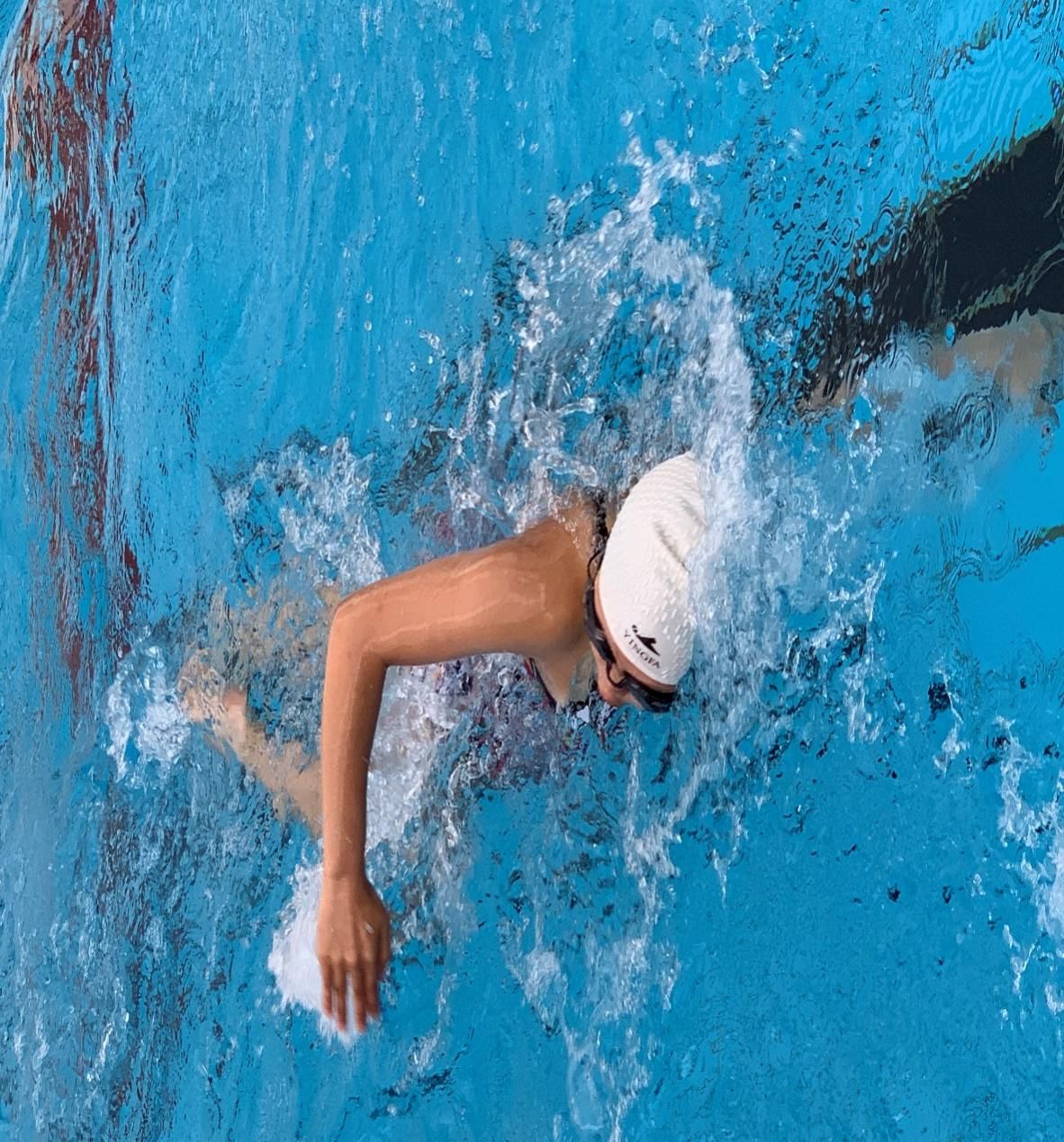 游泳隊 (Swimming): 2019-2020年度 中學校際游泳比賽(港島區第三組)